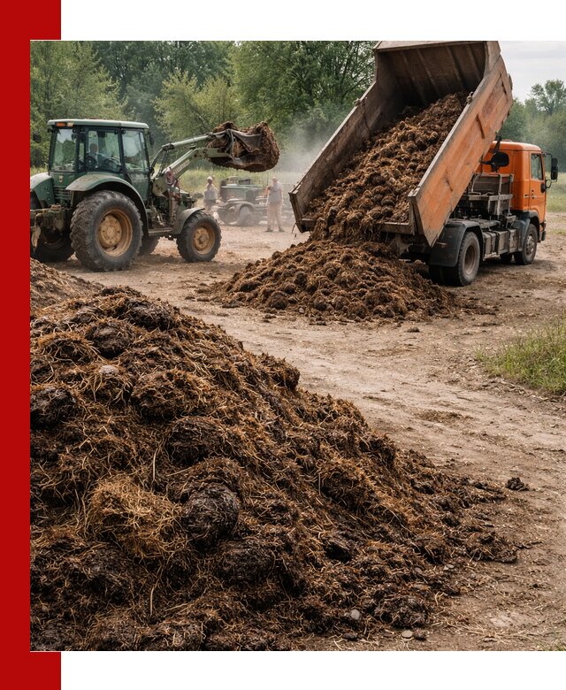 Доставка навоза самосвалами в Черногорске для сельхозпотребностей